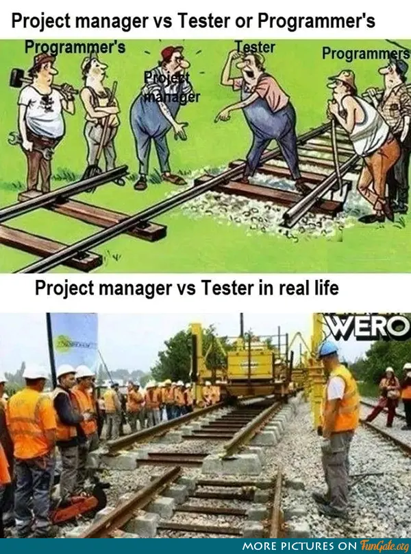 Project manager vs Tester vs Programmer