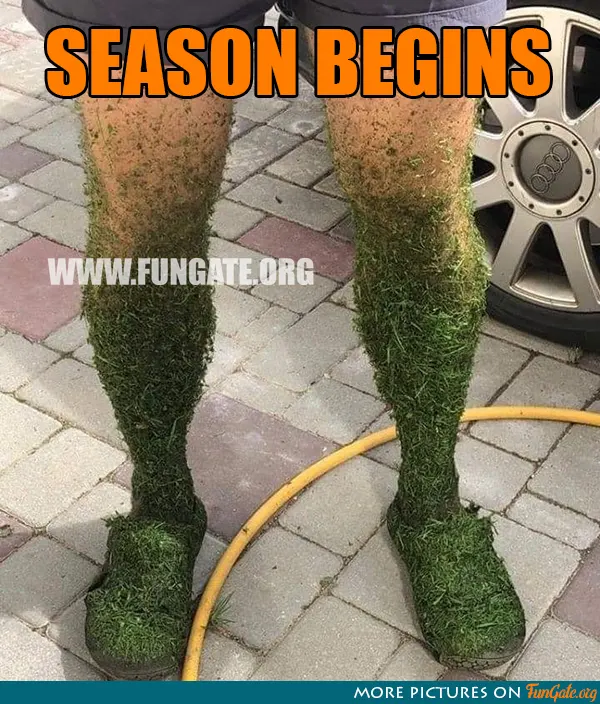 Season begins