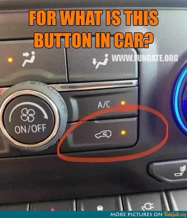 For what is this button in car?