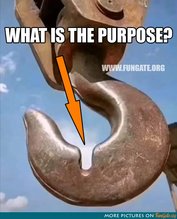 What is the purpose?