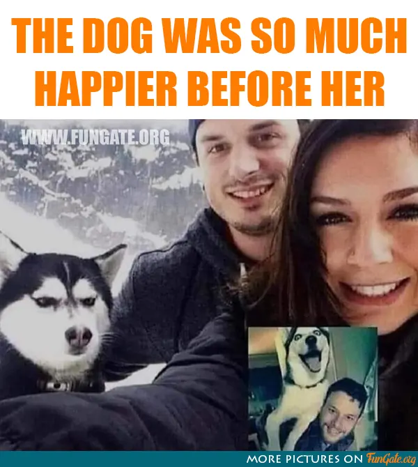 The dog was so much happier