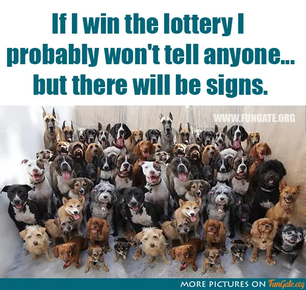 If I win the lottery I probably 