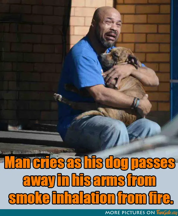 Man cries as his dog passes away