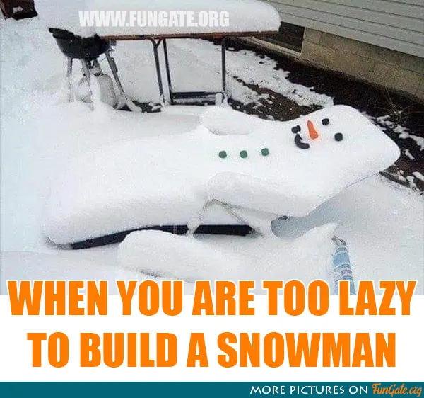 When you are too lazy to build a snowman